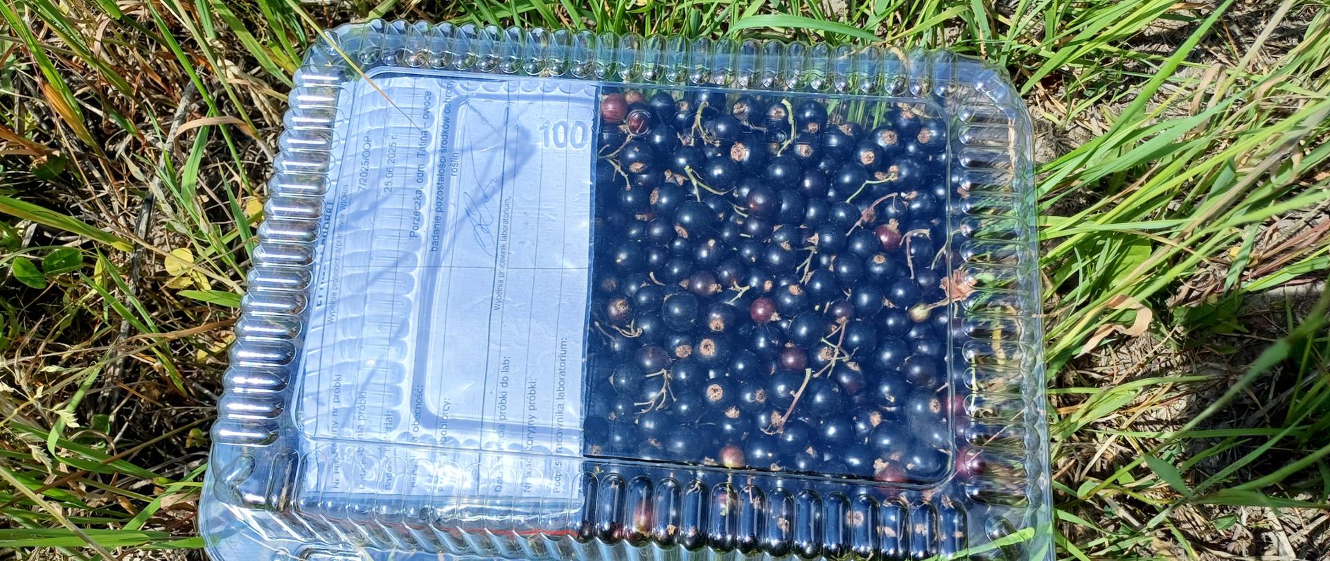 Zdjęcie przedstawia próbkę laboratoryjna przed zaplombowaniem