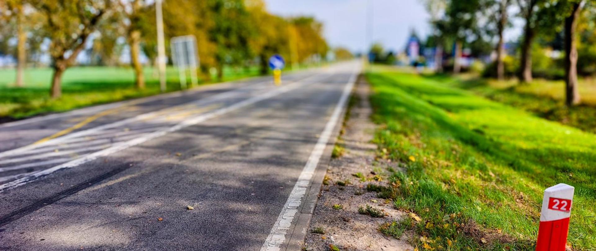 Asfaltowa droga jednopasmowa biegnąca przez obszar z drzewami i zielonym poboczem; na pierwszym planie po prawej stronie widoczny czerwono-biały słupek kilometrowy z numerem 22.