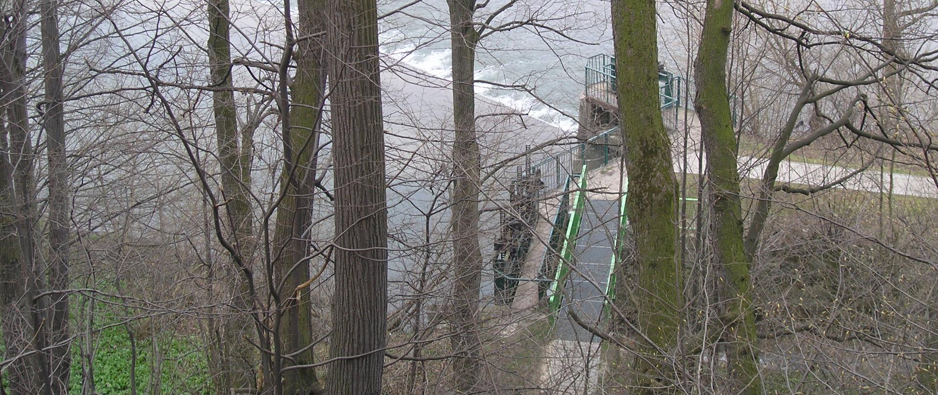 Jaz na Olzie w pobliżu rezerwatu 