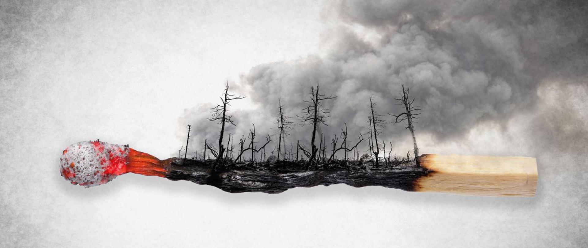 Plakat Kampanii Stop Pożarom Traw