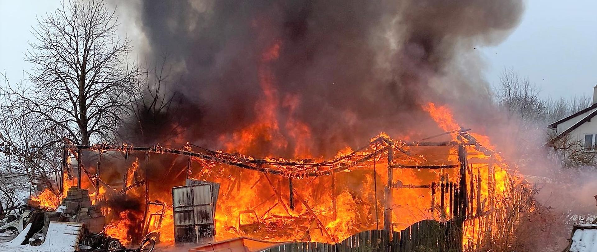 W dniu 15 grudnia 2022 r. o godz. 09:16 do Stanowiska Kierowania Komendanta Powiatowego PSP w Przasnyszu, wpłynęło zgłoszenie o pożarze budynku gospodarczego i samochodów w miejscowości Grabowo gm. Przasnysz.
Po przybyciu na miejsce zdarzenia zastępów z JRG Przasnysz zastano pożar w fazie rozwiniętej budynku drewnianego krytego eternitem. Przed przybyciem służb ratowniczych właściciele ewakuowali z obory 6 krów oraz z obiektu gospodarczego dwa nadpalone samochody osobowe.
Ratownicy zabezpieczyli miejsce zdarzenia poprzez odpowiednie ustawienie samochodów pożarniczych oraz podali dwa prądy wody w natarciu na palący się obiekt. W międzyczasie rozwinięto kolejną linię gaśniczą i podano prąd wody w obronie przyległego budynku obory.
W trakcie działań na miejsce pożaru przybyły kolejne Jednostki Ochrony Przeciwpożarowej w tym grupa operacyjna z KP PSP Przasnysz, które wsparły działania ratowniczo-gaśnicze. Pożar został zlokalizowany i uratowano oborę.
Przybyły na miejsce zdarzenia Zespół Ratownictwa Medycznego udzielił pomocy dwóm osobom poszkodowany, którzy doznali poparzeń podczas ewakuacji mienia z budynku objętego pożarem.
Następnie strażacy przystąpili do prac rozbiórkowych elementów konstrukcji budynku, który częściowo się zawalił oraz ewakuacji spalonych maszyn i sprzętów. Przerzucono i przelano drewno oraz zboże znajdujące się wewnątrz obiektu. Powyższe czynności pozwoliły ugasić pożar. Przy pomocy kamery termowizyjnej sprawdzono pokrycie dachu obory czy pożar nie wdarł się pod pokrycie dachowe. Zagrożeń nie stwierdzono.
Opracował: kpt. Piotr Kuligowski.
Zdjęcia: KP PSP Przasnysz, OSP Bogate, OSP Mchowo.
