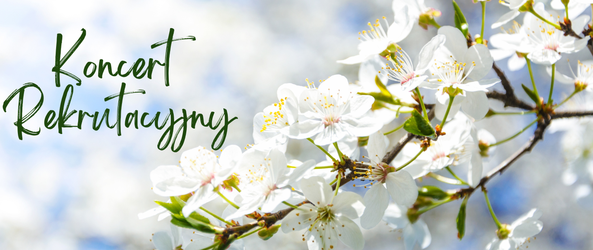 Na zdjęciu po prawej stronie gałązka z kwitnącymi białymi kwiatkami. Po lewej stronie zielony napis: "koncert rekrutacyjny"