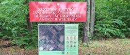 Czerwona tablica informacyjna z białym napisem „Rezerwat Przyrody Janinowski Starodrzew Bukowy im. Hieronima Andrzejewskiego” oraz mniejsza, zielona tablica z mapą i regulaminem, ustawione na skraju liściastego lasu