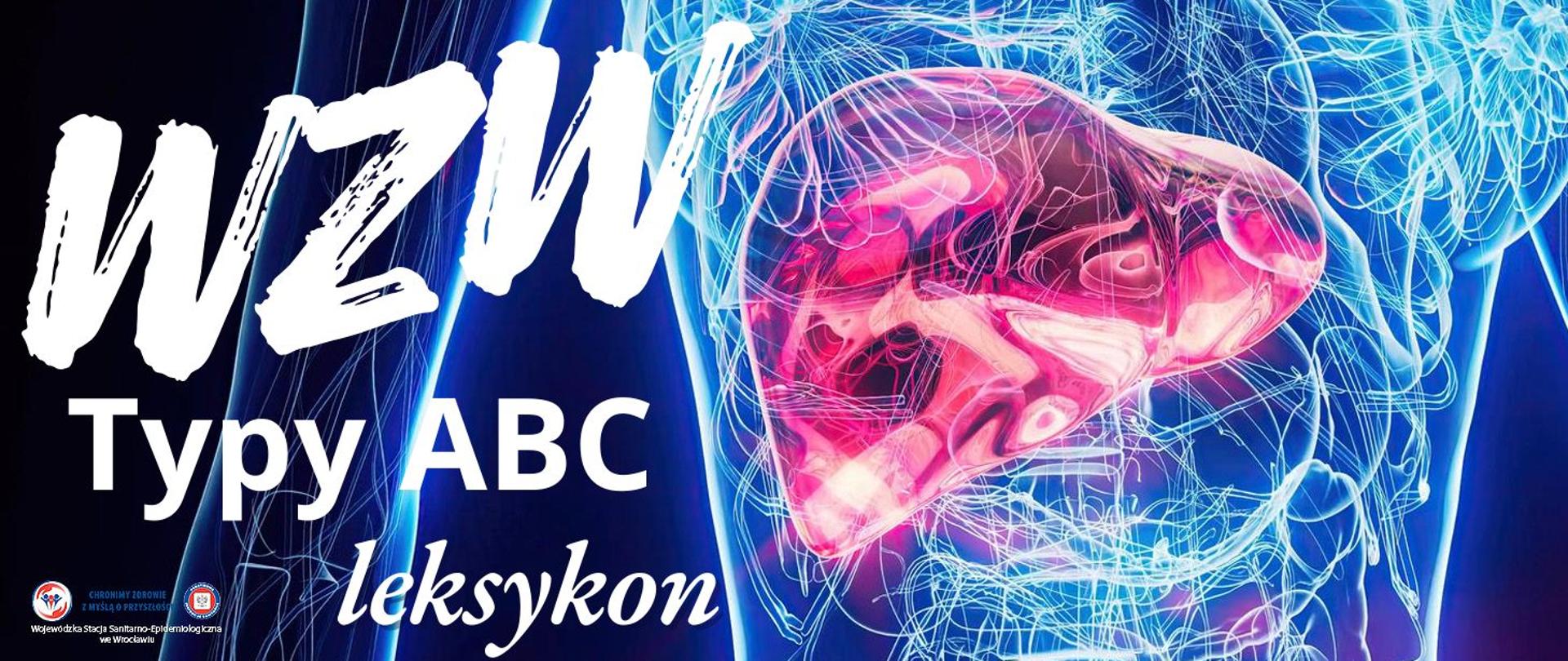 Schematycznie zaznaczona wątroba na tle ludzkiego organizmu