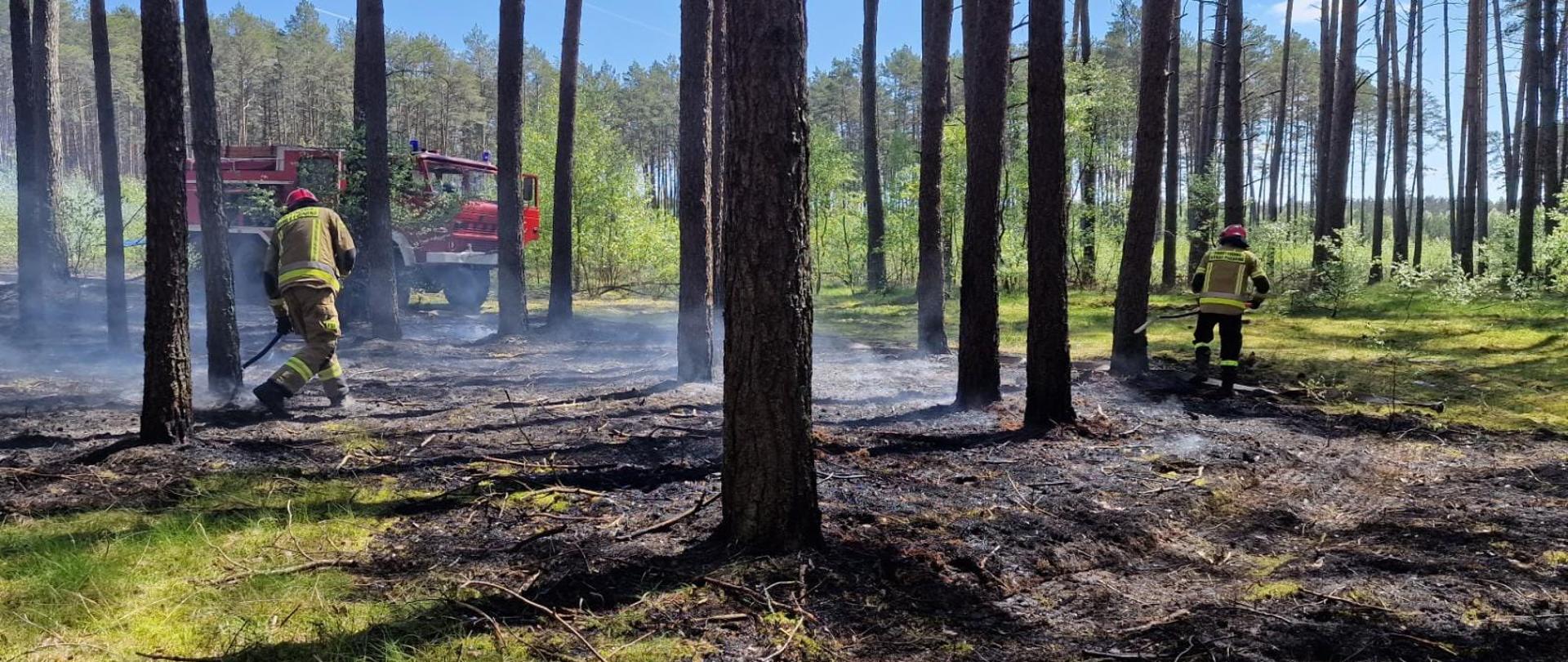 prace na pogorzelisku