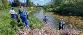 Akcje sprzątania rzek Polski południowo-zachodniej ze wsparciem regionów wodnych.
