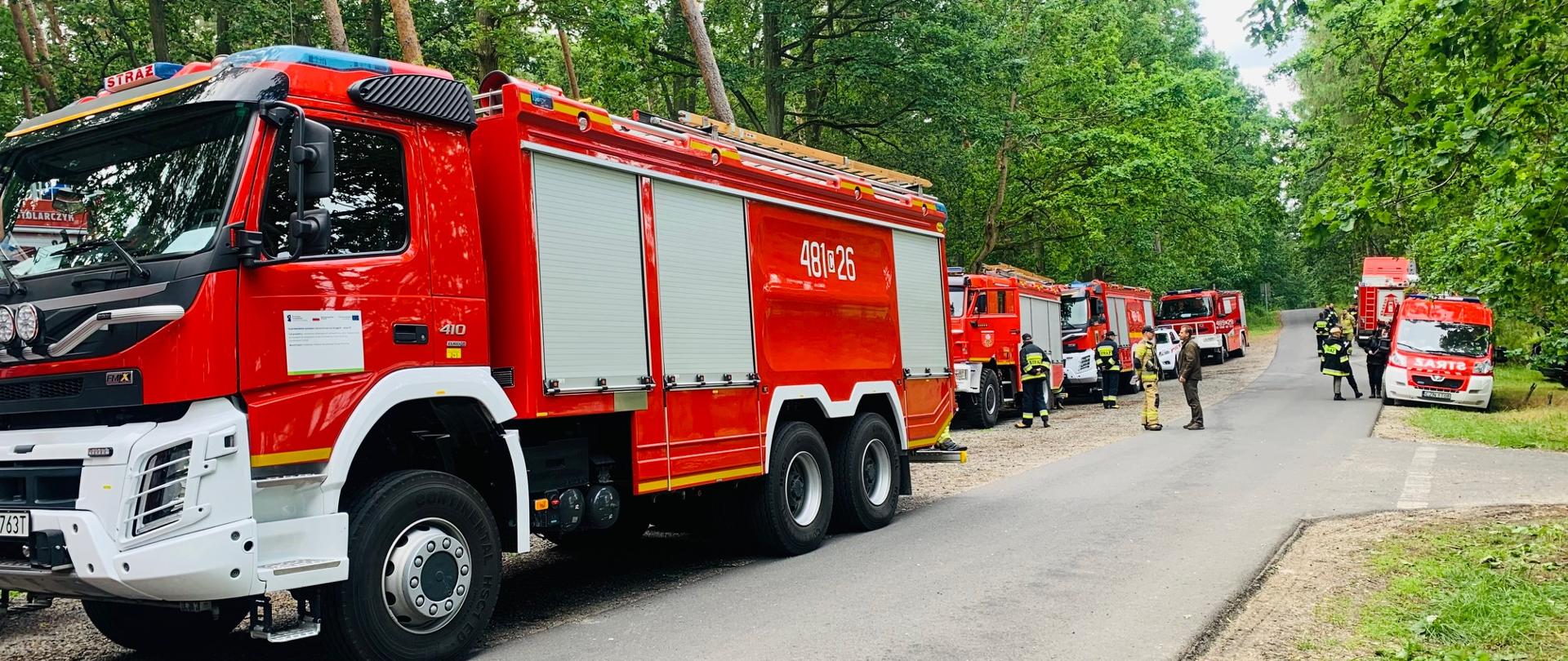 Wzdłuż leśnej drogi po obu stronach stoją samochody pożarnicze a przy nich strażacy