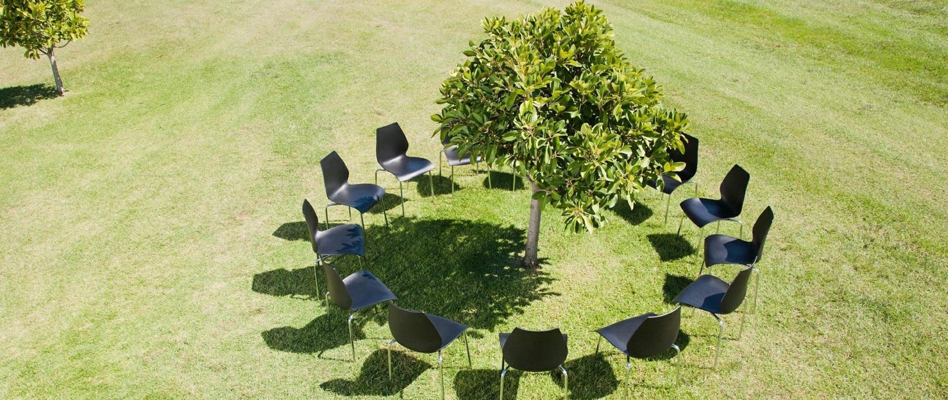 Na zdjęciu drzewo a wokół niego krzesła