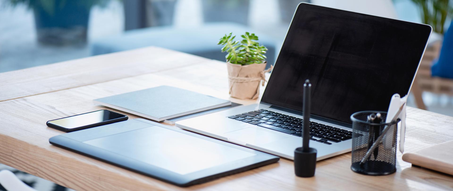 Laptop po środku biurka a po lewej stronie kwiatek doniczkowy i samrtfon