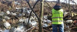 Inspektorzy WIOŚ przeprowadzający oględziny miejsca porzucenia odpadów w miejscowości Wierzawice 