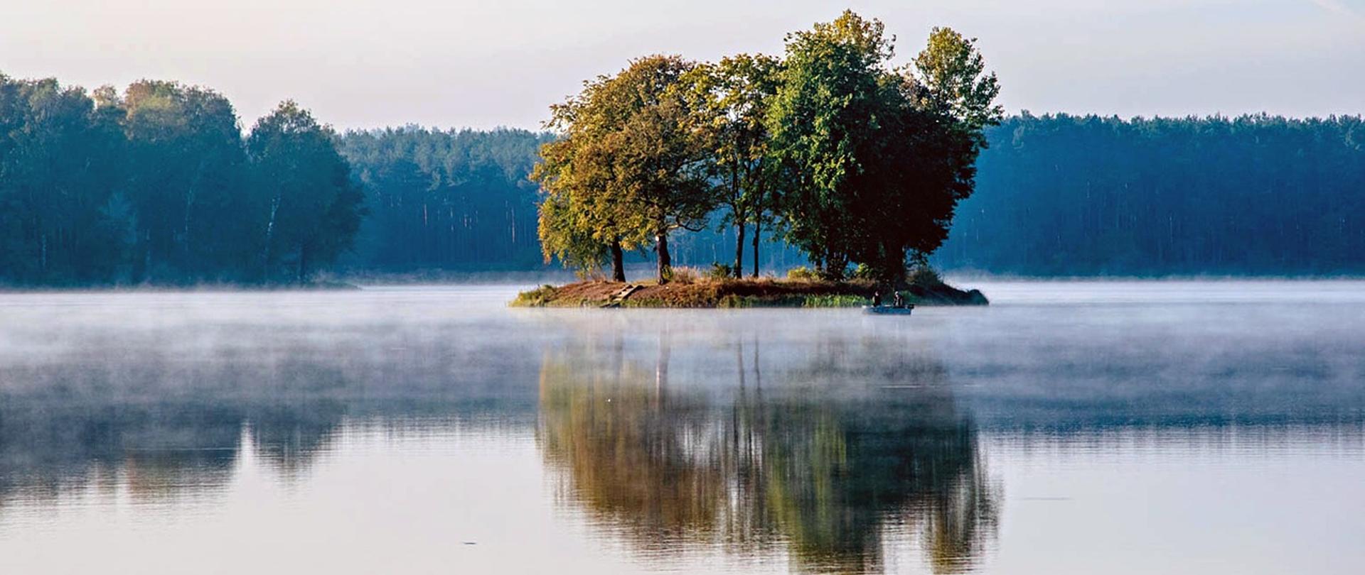 wyspa z drzewami liściastymi na jeziorze