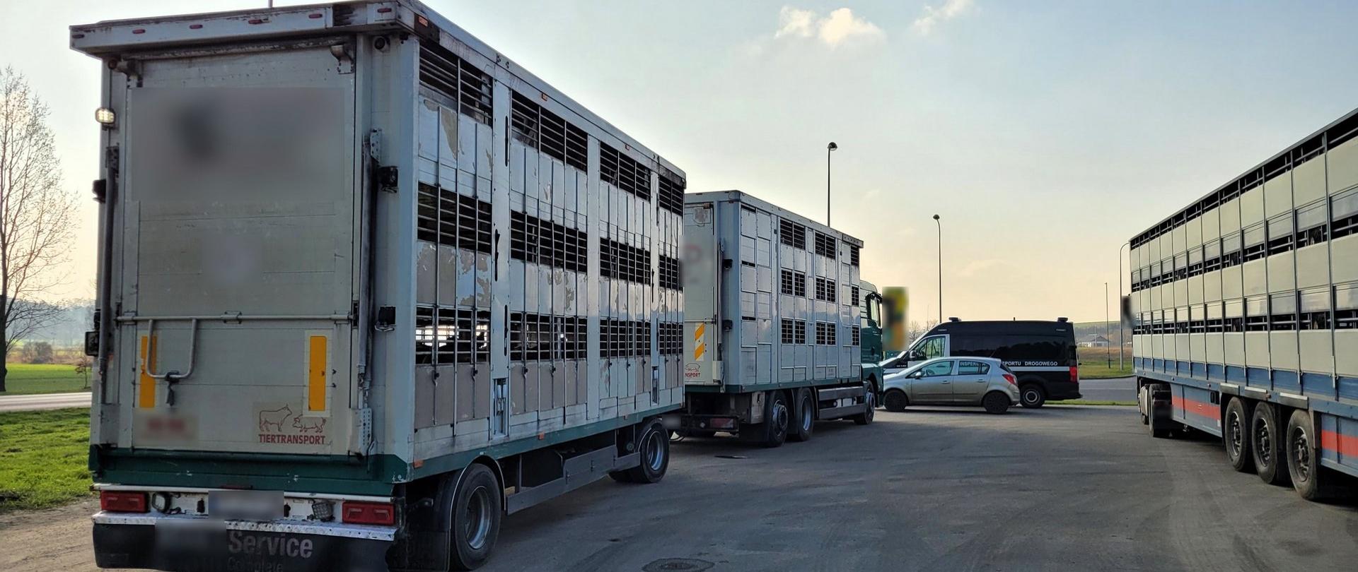 Nieoznakowany pojazd do przewozu żywych zwierząt zatrzymali inspektorzy z Leszna