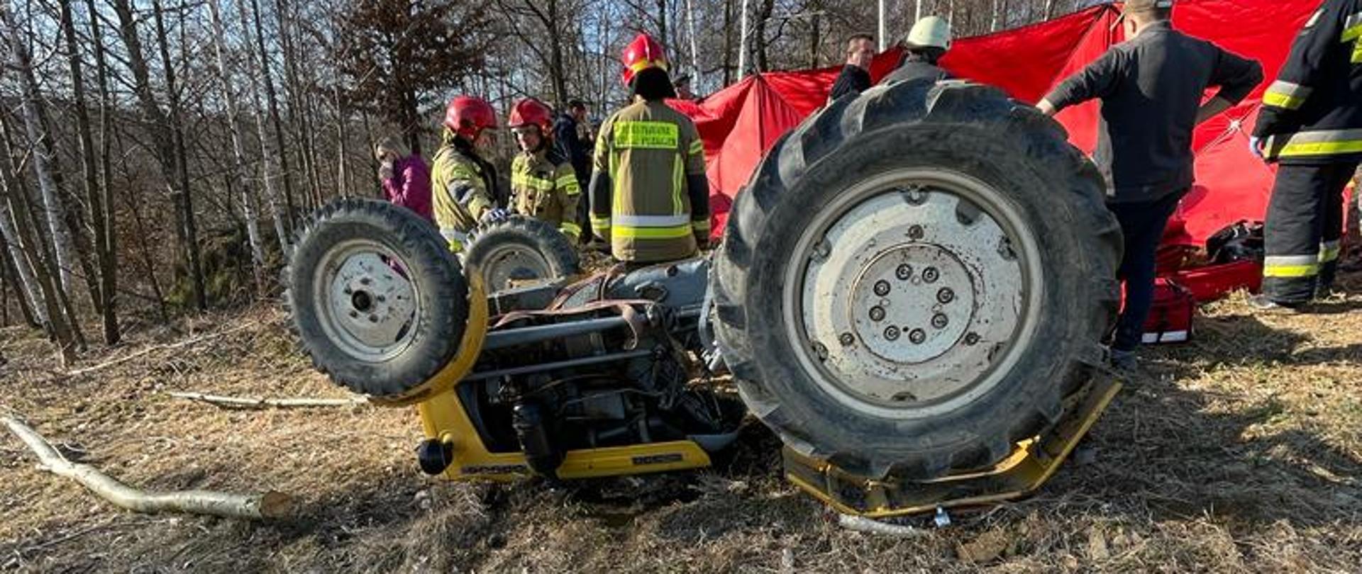 Ciągnik rolniczy do góry kołami a w tle strażacy oraz parawan