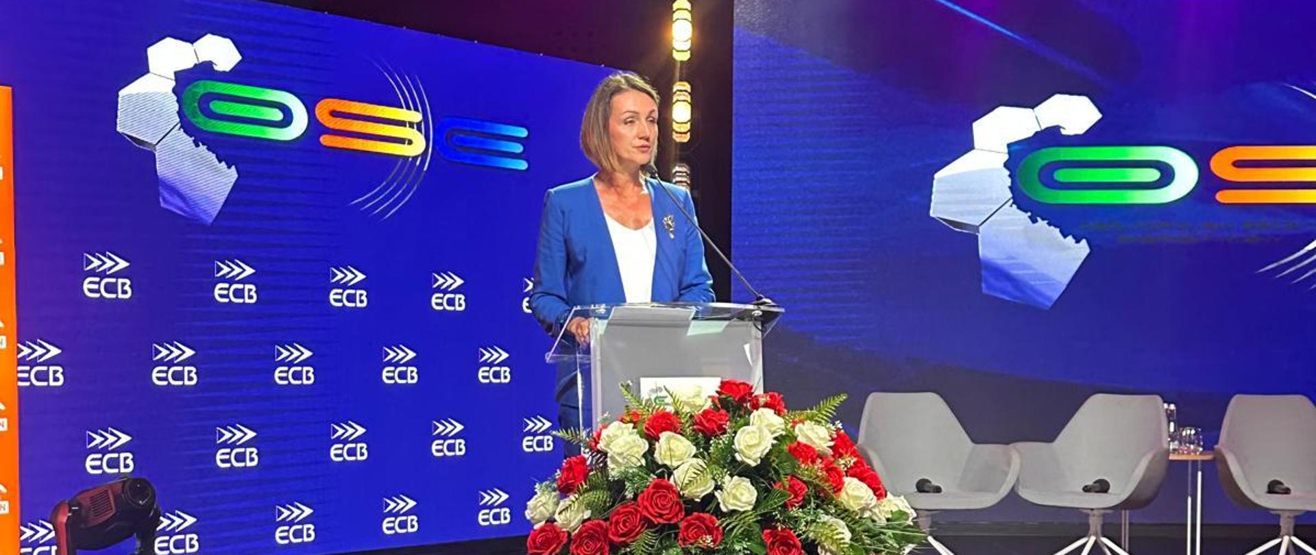 duża sala, na tle ściany z napisem OSE przed mikrofonem stoi wojewoda pomorska