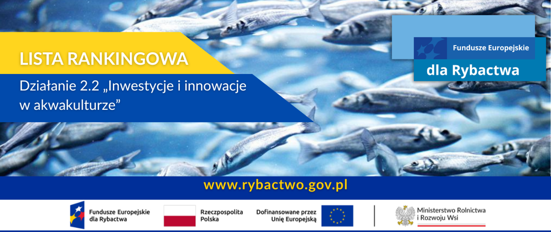 pływające ryby