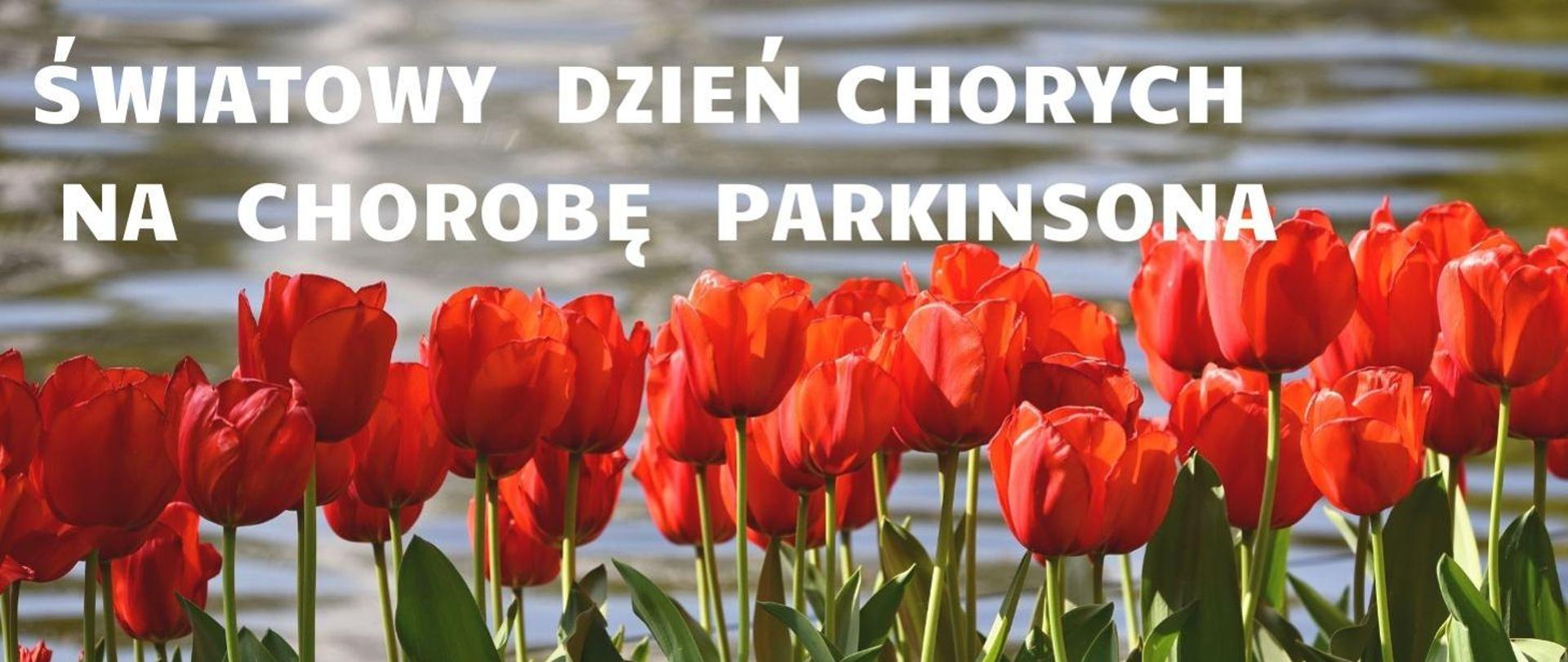 U góry napis: Światowy Dzień Chorych na Chorobę Parkinsona. Na dole: czerwone tulipany