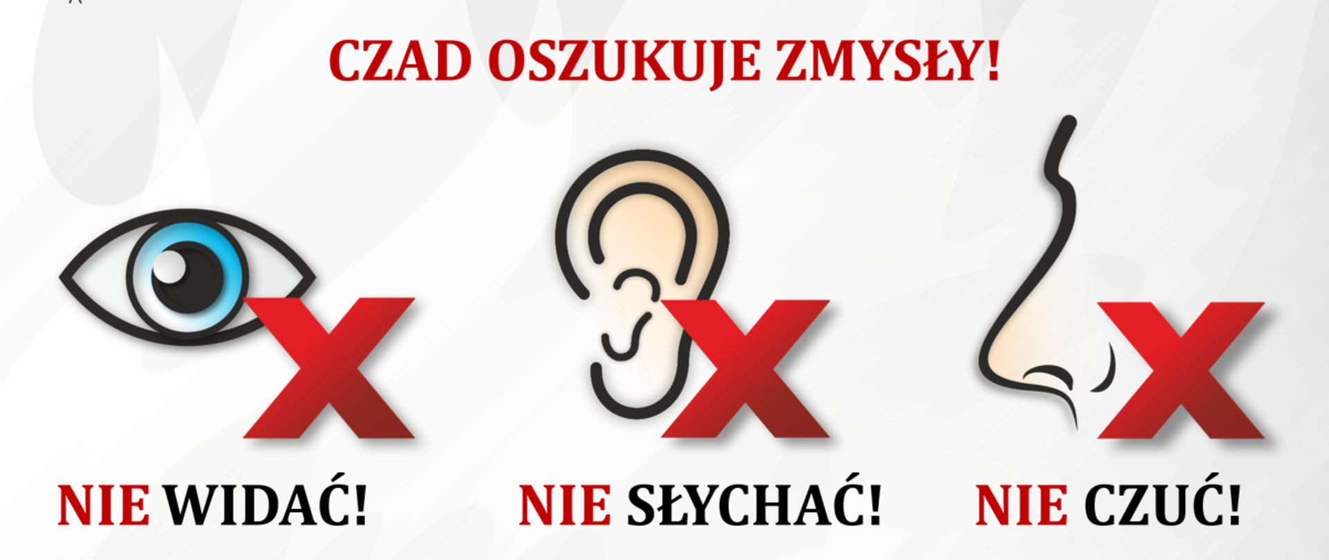 Czujka na straży Twojego bezpieczeństwa