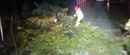 Strażak usuwający powalone drzewo na drogę przy szkole podstawowej i przejściu dla pieszych