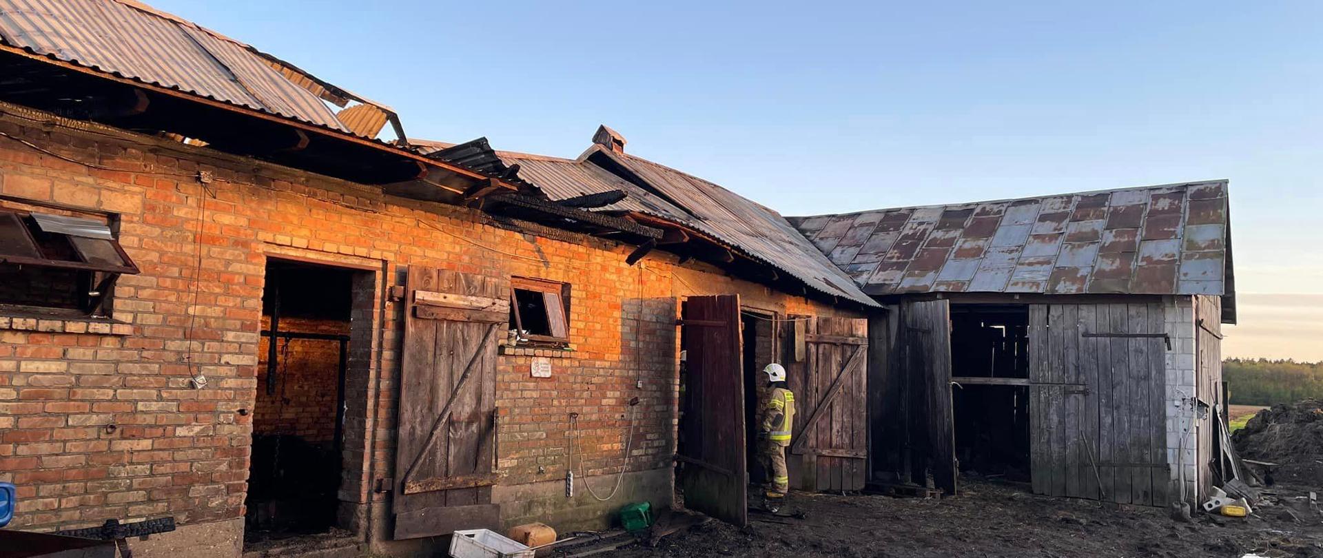Pożar budynku inwentarskiego w miejscowości Nowe Wierzbowo