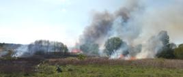 Na zdjęciu widać płonące łąki 