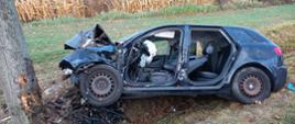 Na zdjęciu widzimy bok samochodu osobowego koloru czarnego który wjechał do rowu i uderzył w drzewo. Samochód ma wgniecioną maskę, nadkole oraz brak zderzaka i przednich reflektorów. Brakuje przednich i tylnych drzwi z kierownicy wystaje poduszka.
