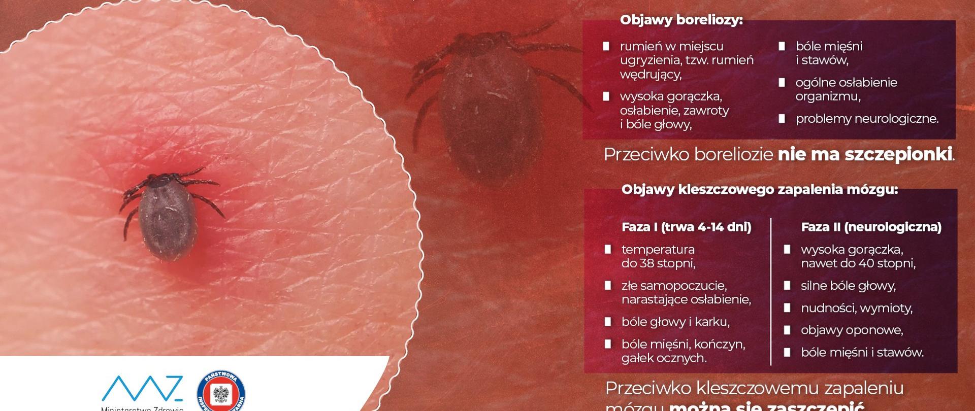 Grafika Ministerstwa Zdrowia przedstawiająca kleszcza wbitego w skórę. W grafice zawarte są najważniejsze informacje na temat objawów boreliozy i kleszczowego zapalenia mózgu