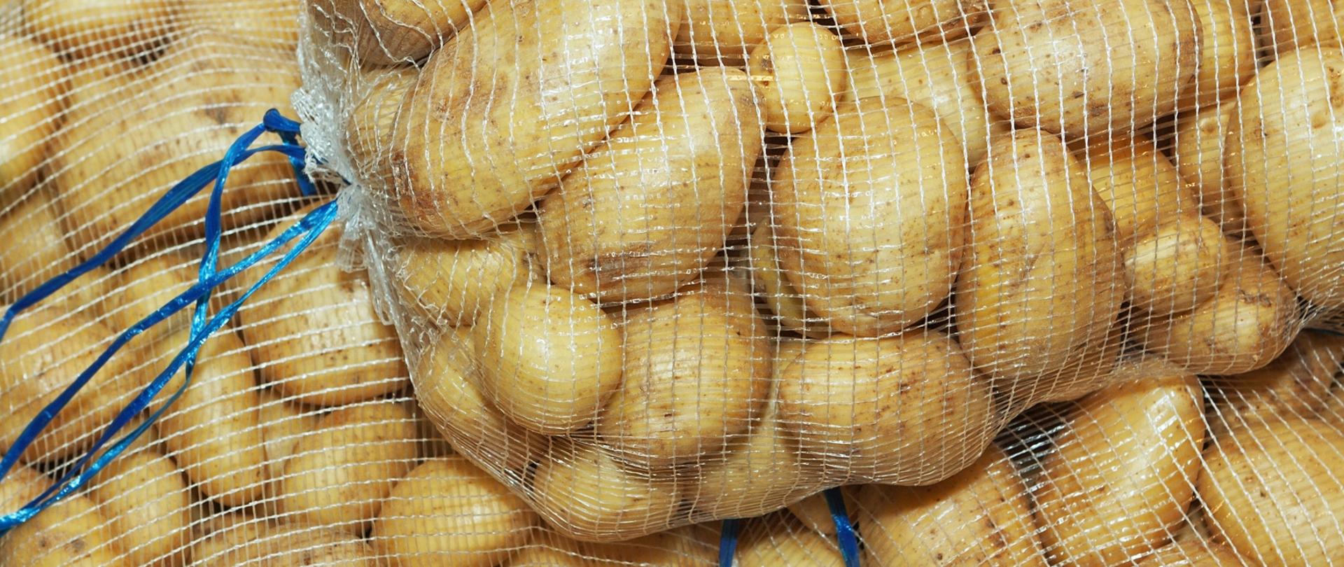Ziemniaki w workach siatkowych