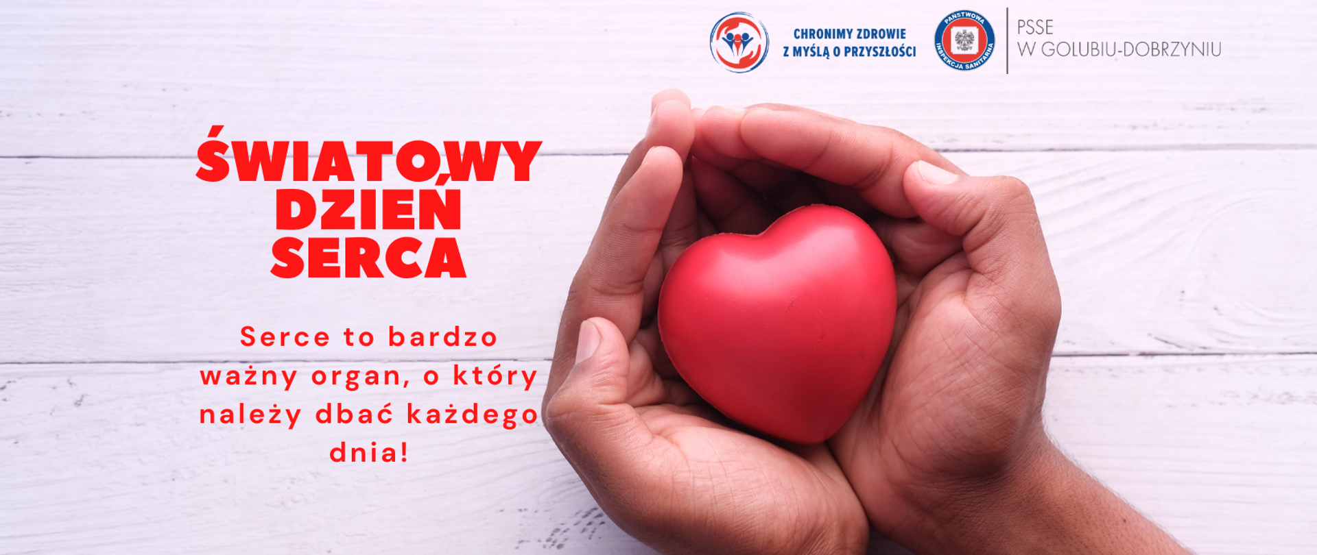Po lewej stronie napis: "Światowy Dzień Serca. Serce to bardzo ważny organ, o który należy dbać każdego dnia!". Po prawej stronie złożone ręce trzymające czerwone serce. Powyżej, logo Powiatowej Stacji Sanitarno-Epidemiologicznej w Golubiu-Dobrzyniu oraz hasło: "Chronimy zdrowie z myślą o przyszłości".