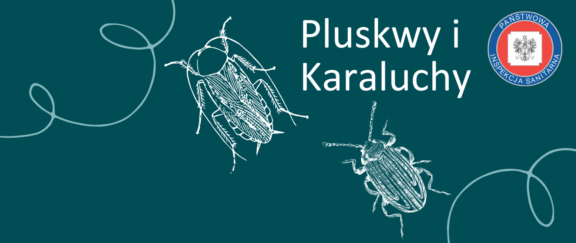 grafika przedstawia dwa groźne insekty: karalucha i pluskwę oraz logo inspekcji sanitarnej