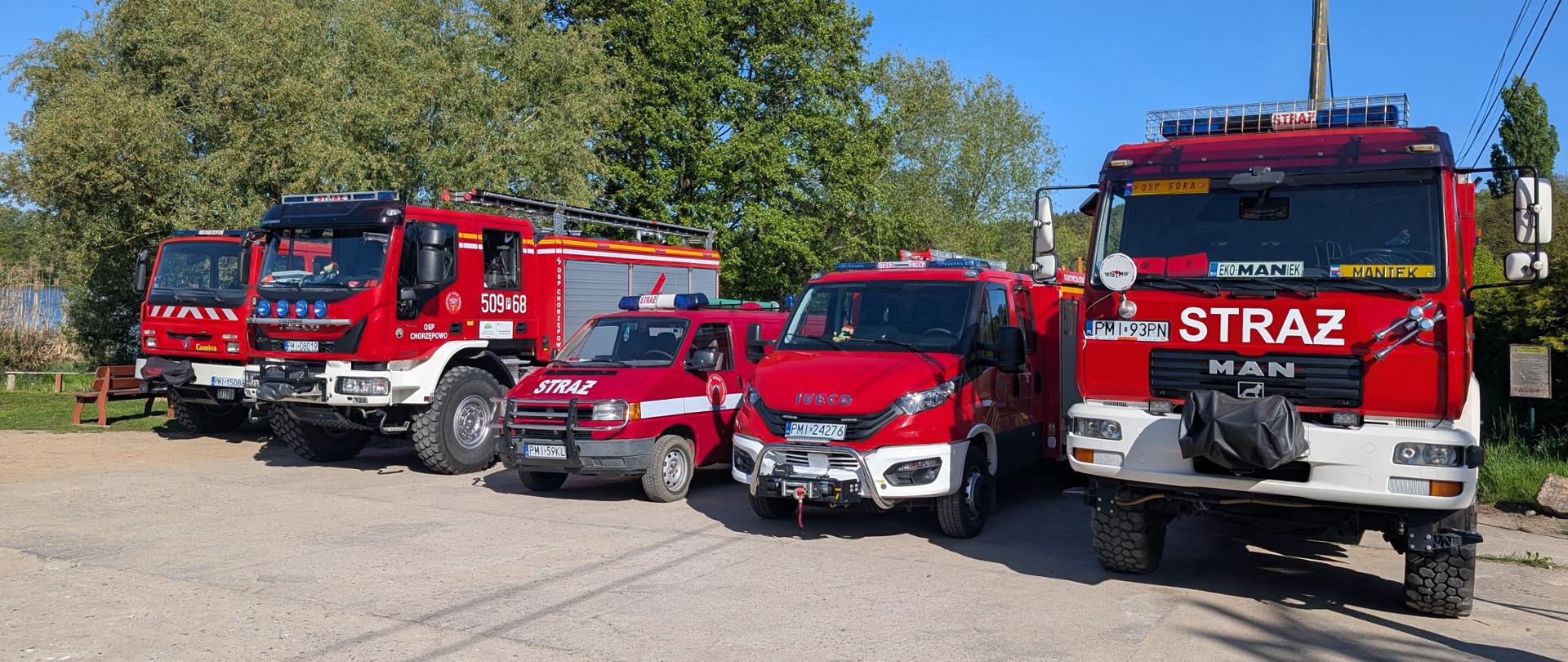 Ćwiczenia POMPA 2025