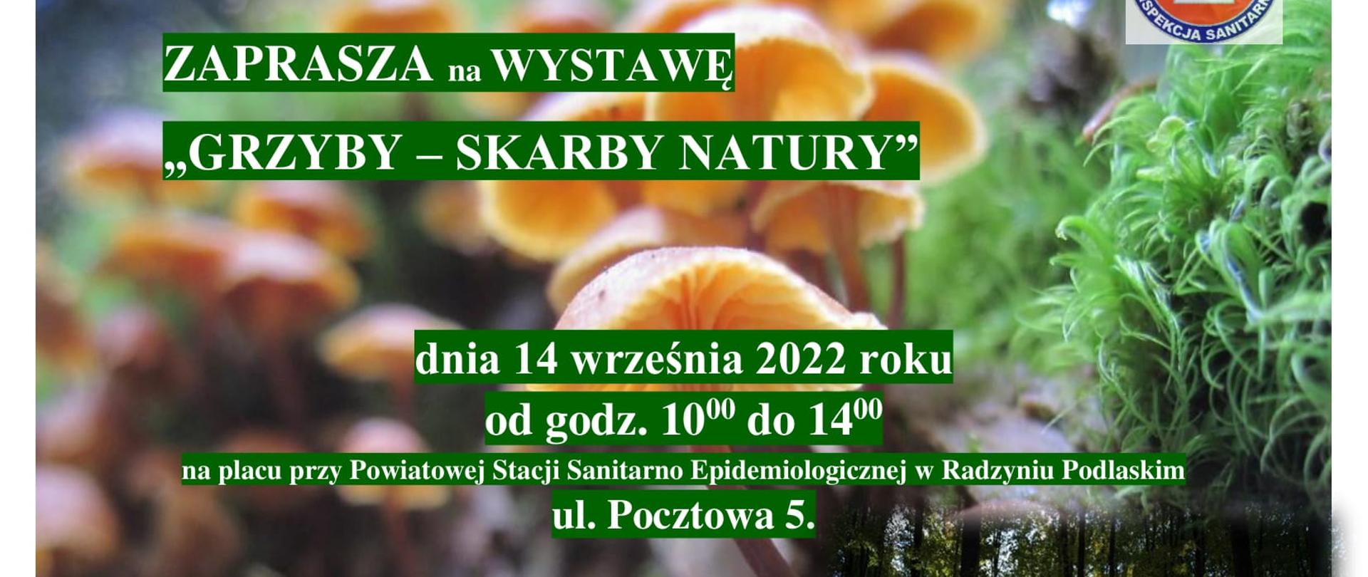Zaproszenie_na_wystawe_grzybow