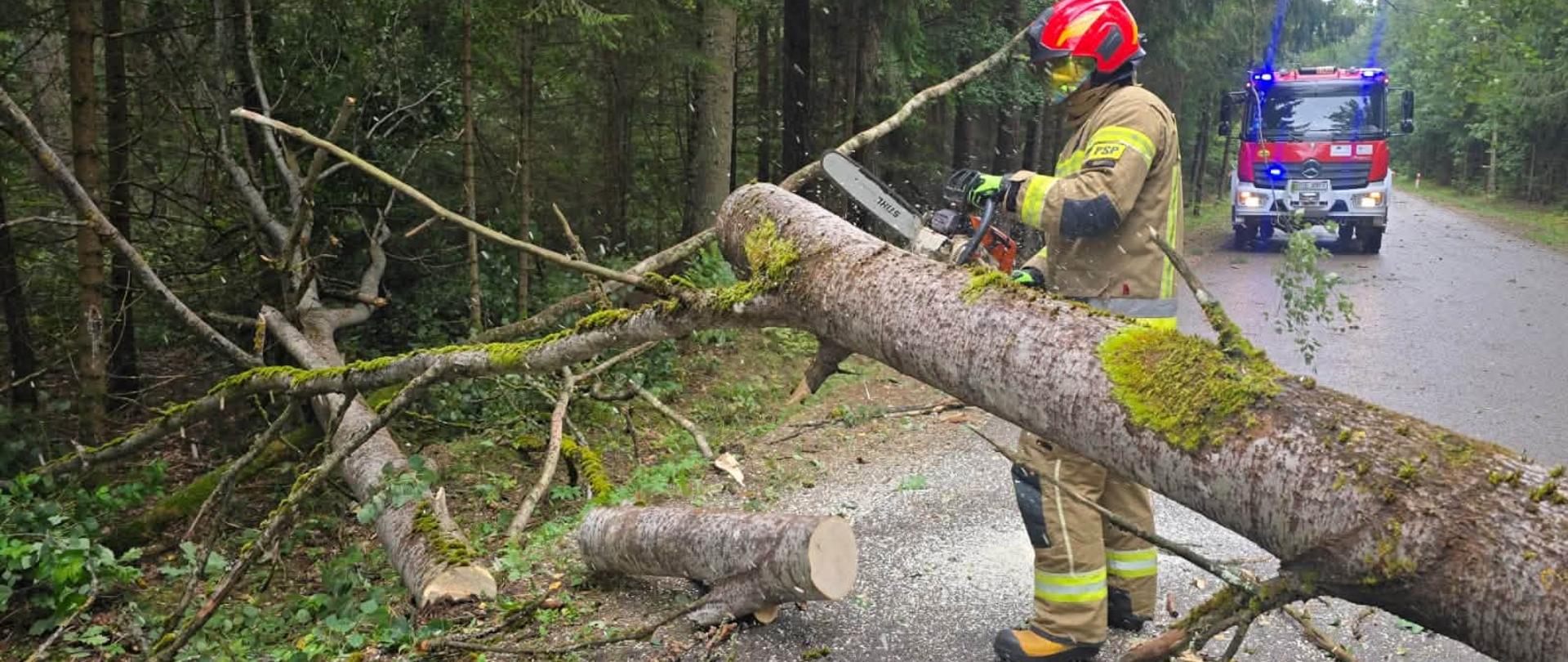 Działania strażaków polegają przede wszystkim na usuwaniu powalonych drzew i konarów - na zdjęciu strażak tnie drzewo, które spadło na drogę