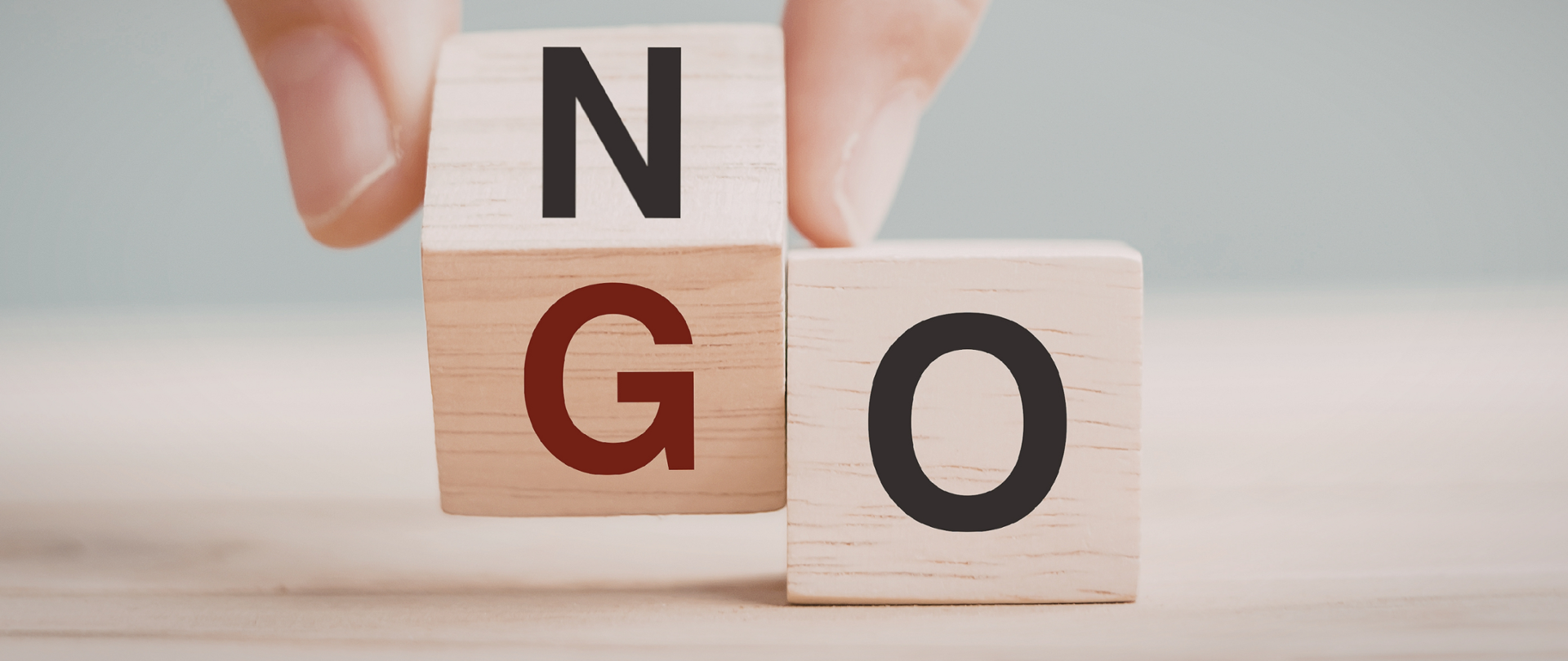 27 lutego – Światowy Dzień Organizacji Pozarządowych