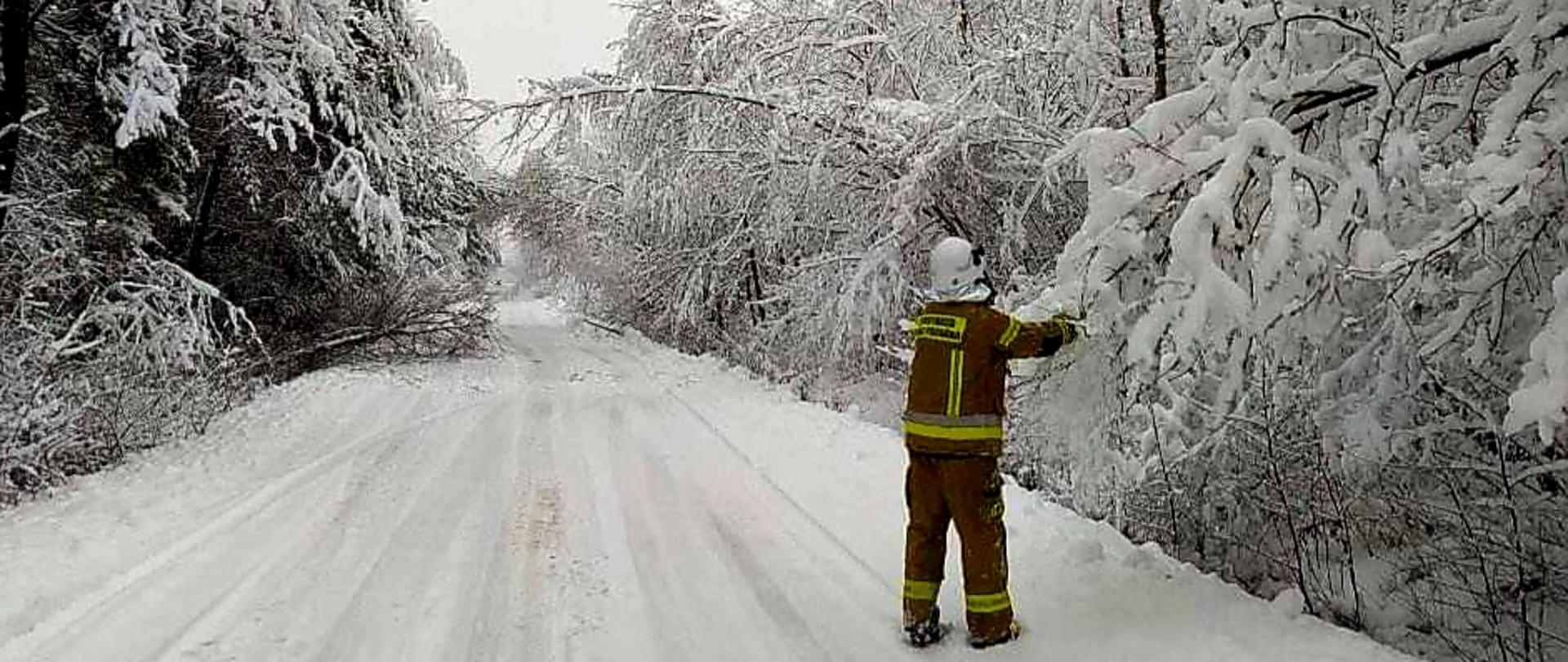 Zdjęcie przedstawia dh OSP Szydłowiec, podczas działań w usuwaniu powalonych drzew i konarów na jezdnię