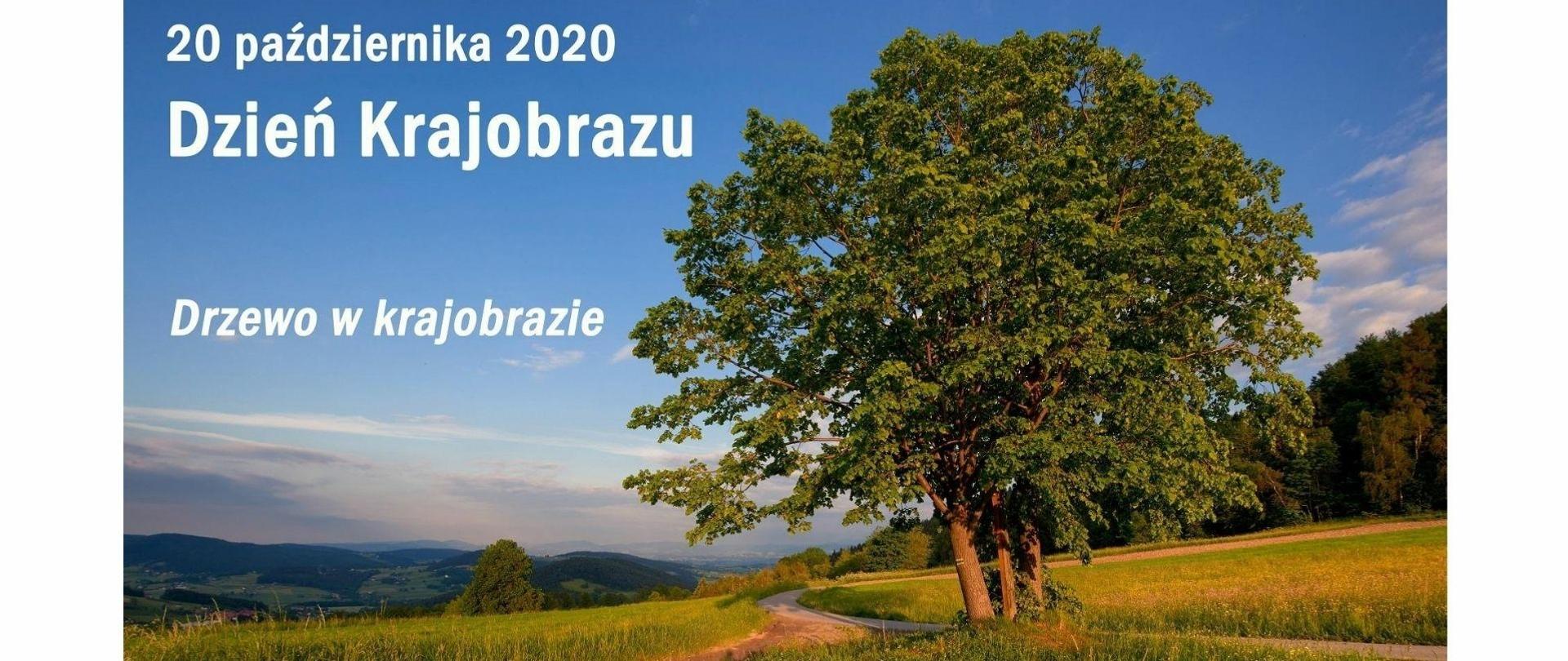 Na plakacie drzewo na tle gór i napis dotyczący wydarzenia obchodów Dnia Krajobrazu. Na dole plakatu loga instytucji zaangażowanych w wydarzenie 
