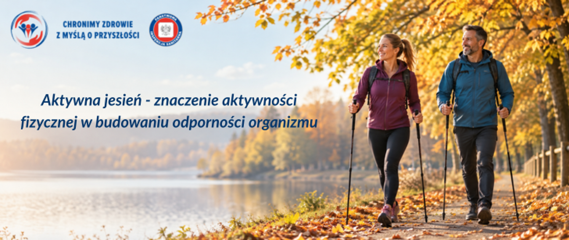 Grafika przedstawia kobietę i mężczyznę uprawiających nordic walking na leśnej ścieżce pokrytej jesiennymi liśćmi, w otoczeniu drzew o złocistych koronach, nad brzegiem jeziora. Oboje są ubrani w sportowe stroje i mają plecaki. Po lewej stronie widnieje napis: „Aktywna jesień - znaczenie aktywności fizycznej w budowaniu odporności organizmu”. W lewym górnym rogu umieszczono logo Państwowej Inspekcji Sanitarnej wraz z hasłem: „Chronimy zdrowie z myślą o przyszłości” 
