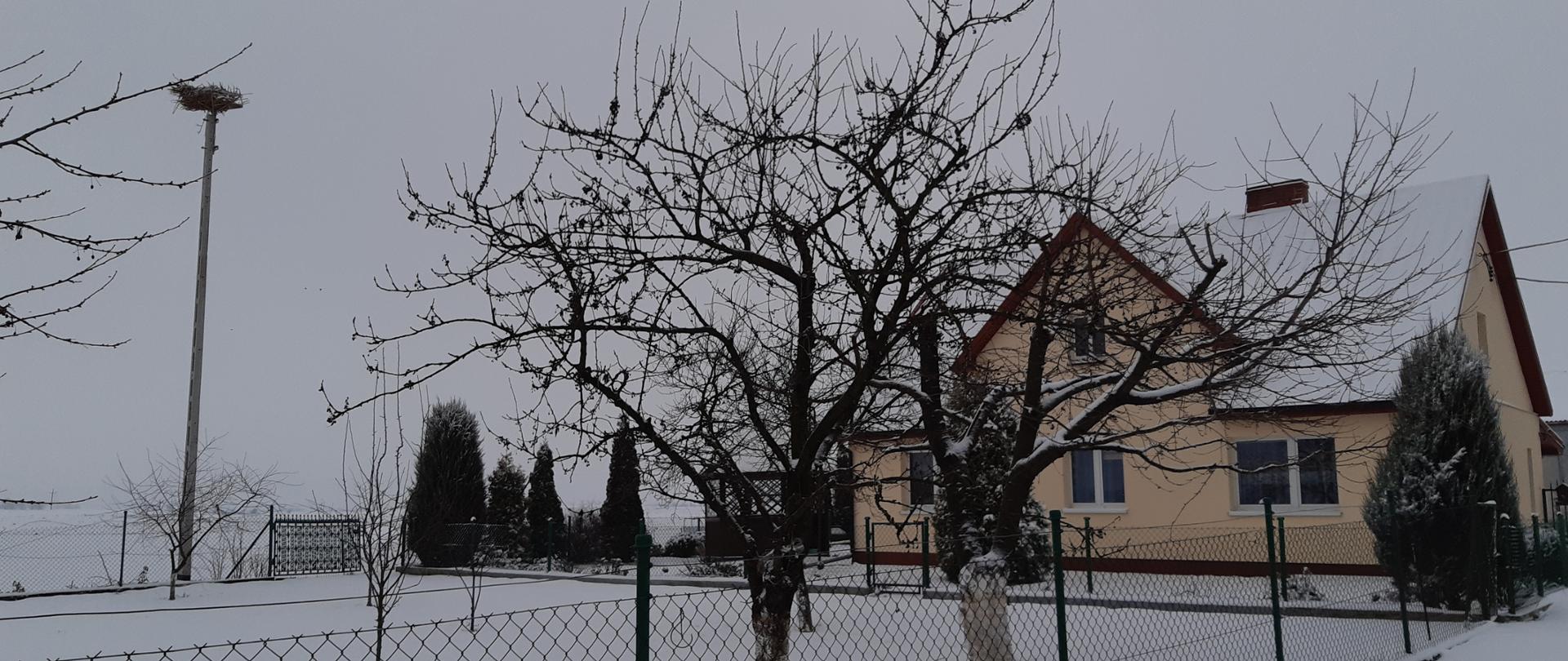 Nowe gniazdo bociana białego w ogródku obok kremowego domu. Zdjęcie w zimowej aurze.