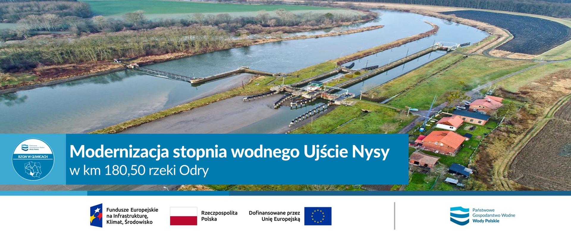 Ujście_Nysy_feniks