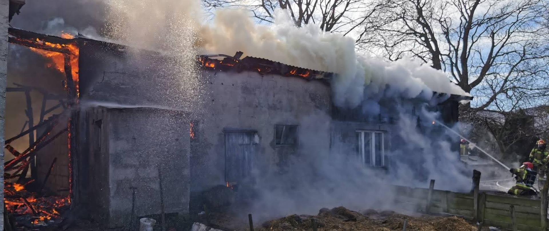 Płonący budynek gospodarczy, widoczne płomienie wydostające się z pod dachu. Z prawej strony strażacy podający prąd wody.