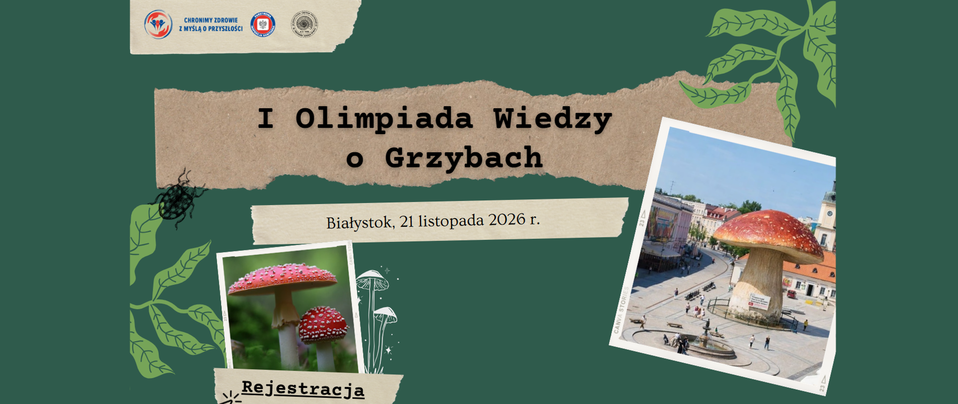 grzyby olimpiada