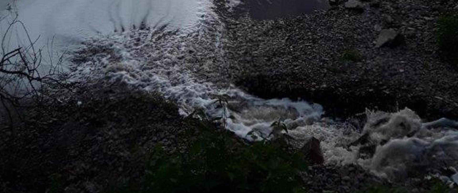 Wylot kolektora oczyszczalni ścieków w Kołaczycach (fot. WIOŚ w Rzeszowie)