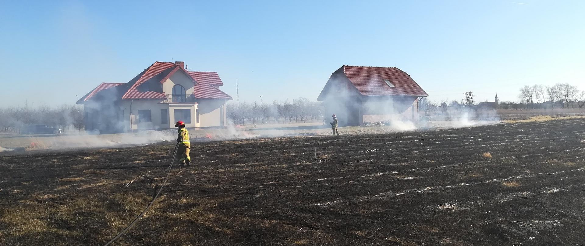 zdjęcie zrobione w dzień. Na zdjęciu widać palącą się trawę na nieużytkach. Dwaj strażacy rozciągają węże strażackie. Na zdjęciu widać ogień i dym, w tle dwa budynki.