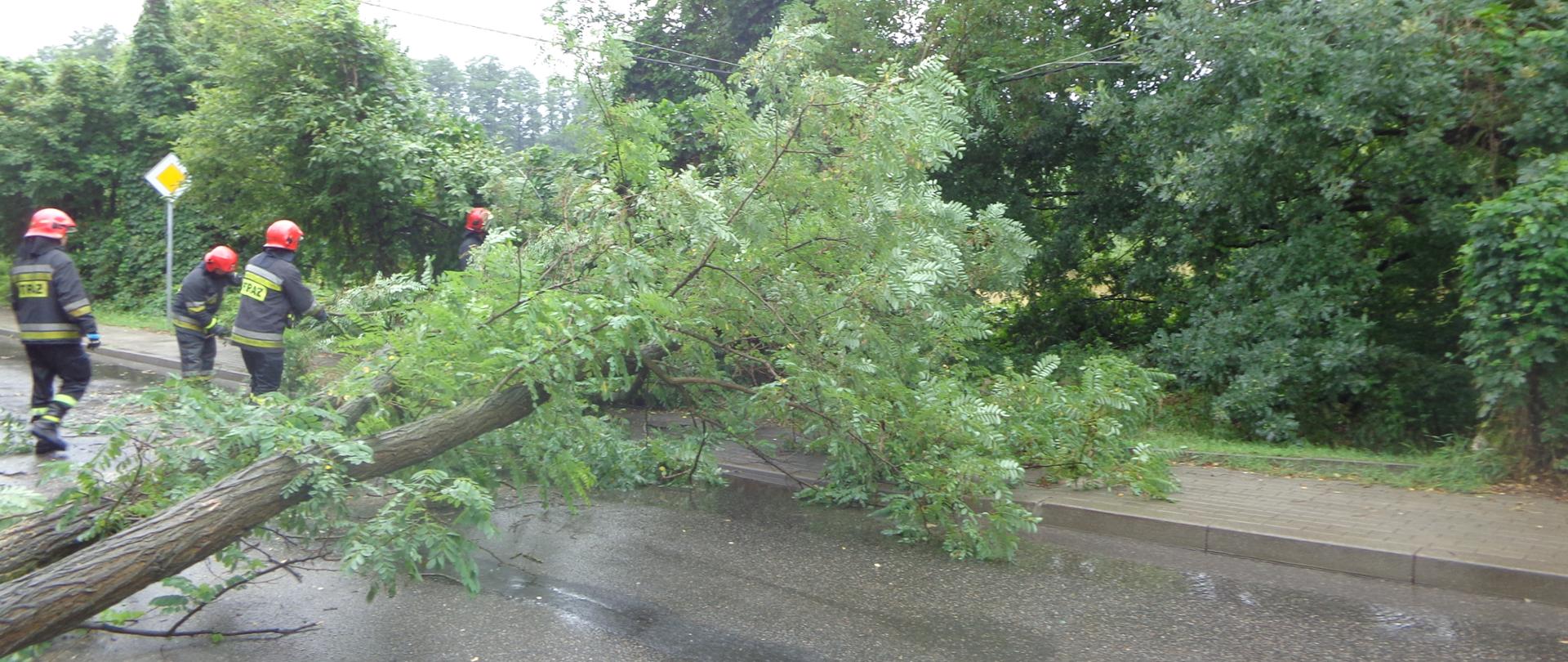 Złamane drzewo leży w poprzek drogi, jedna z gałęzi przyciska przewody elektryczne, 4 strażaków przystępuje do jego usunięcia z drogi.