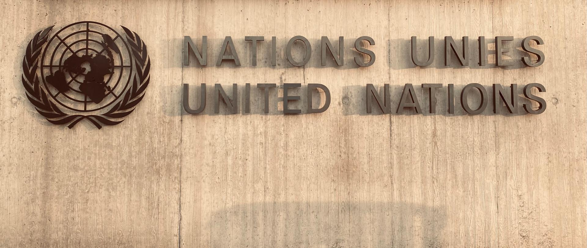 Na drewnianym tle po lewej stronie logotyp - kształty kontynentów otoczone wieńcem z liści. W centralnej części anglojęzyczny napis: Nations Unies United Nations