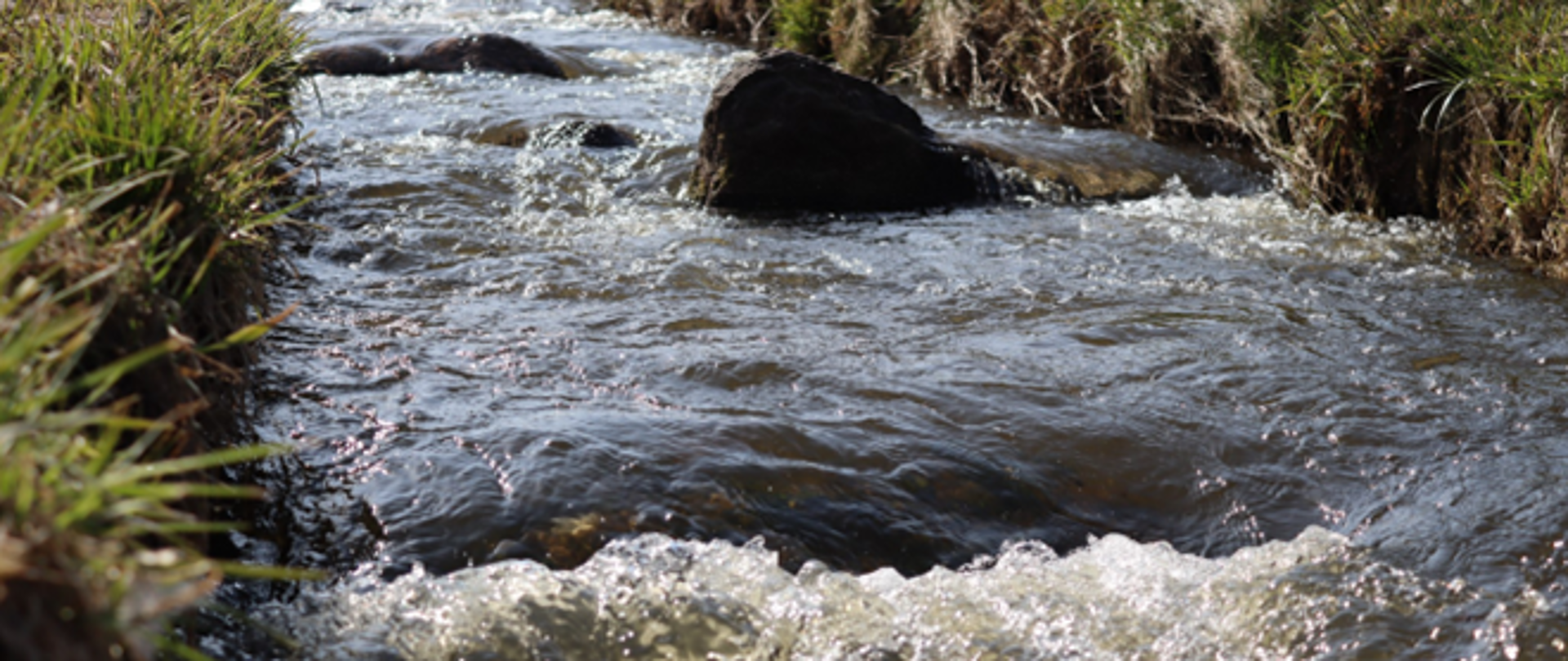 rzeka Rega - zdjęcia ilustrujące projekt „Budowa niebieskiego korytarza ekologicznego wzdłuż doliny rzeki Regi”
