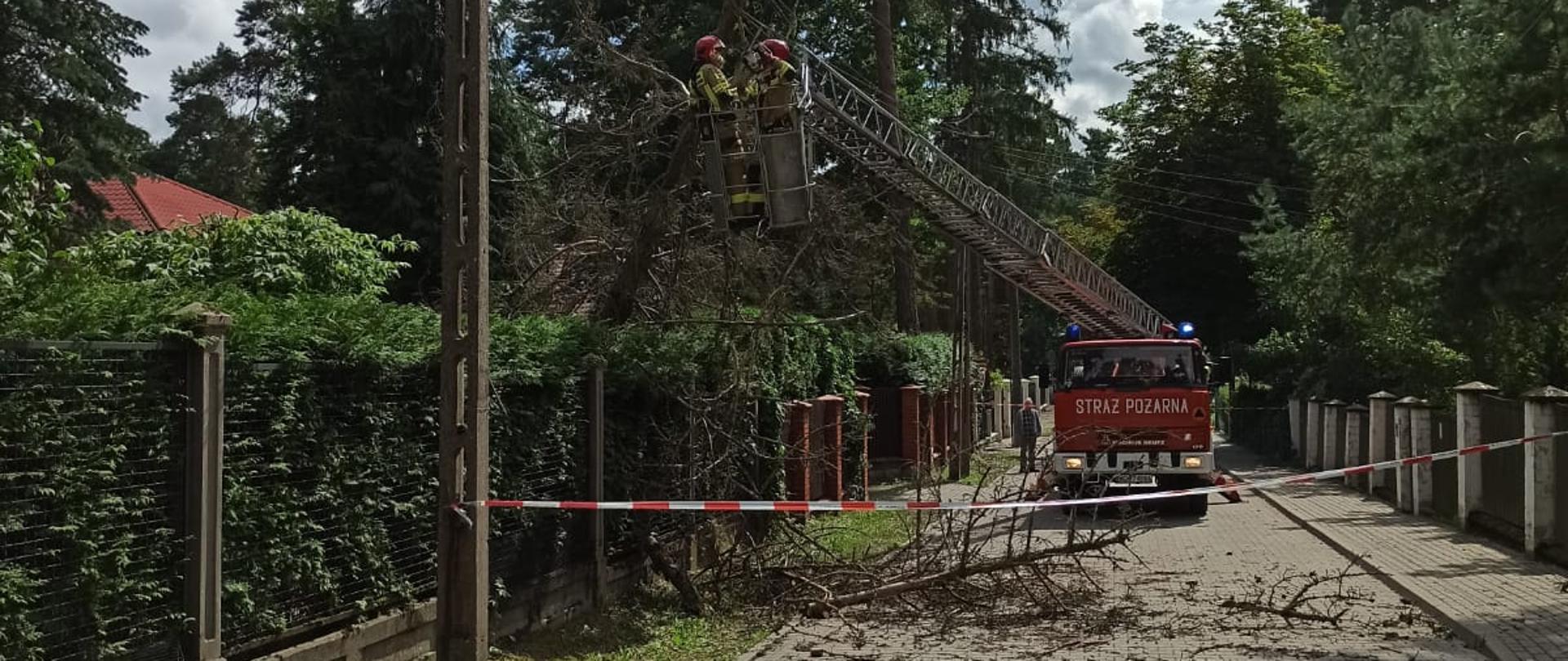Strażacy z kosza drabiny mechanicznej usuwają złamane drzewo, które przewróciło się na linię niskiego napięcia.
