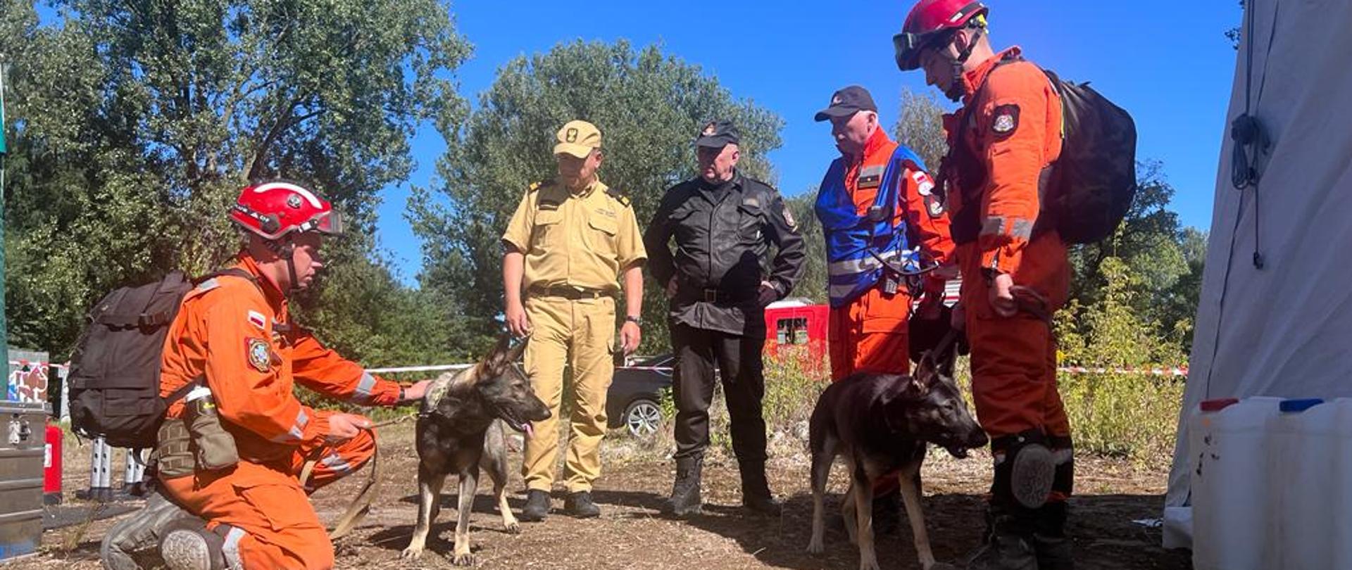 Na obozowisku (widoczny namiot) strażacy z psami ratowniczymi oraz komendanci obserwujący przygotowania do działań