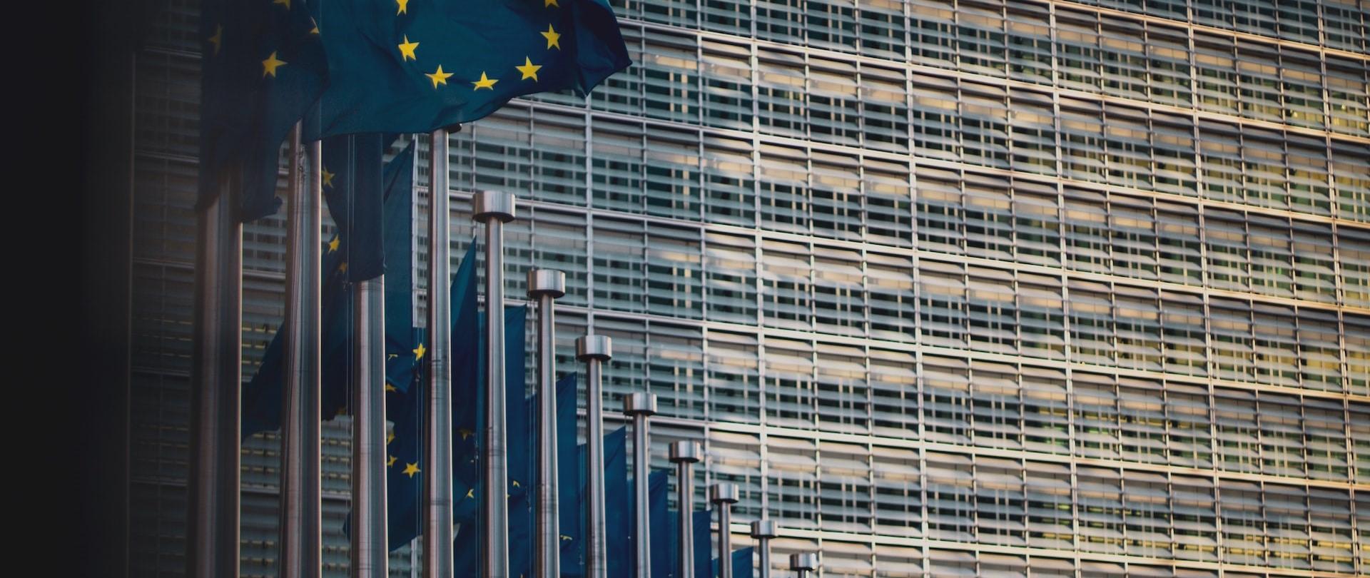 Flagi Unii Europejskiej