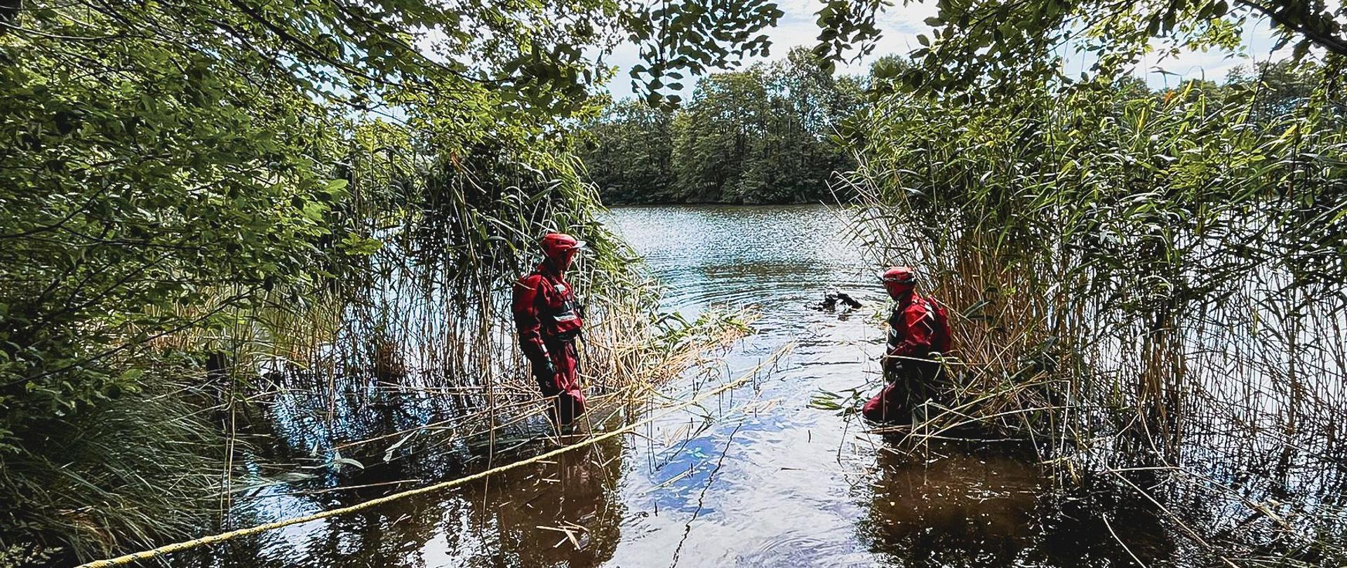 Strażacy w ubraniach do działań na wodzie przeczesują tereny szuwarów. Wokół zbiornika drzewa i krzewy.