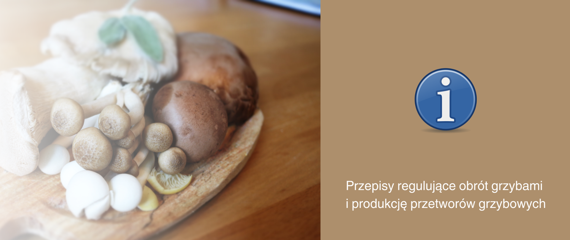 Po lewej stronie znajduje się zdjęcie przedstawiające deskę leżącą na stole. Na desce leżą różne grzyby. Po prawej znajduje się informacja Przepisy regulujące obrót grzybami i produkcję przetworów grzybowych
